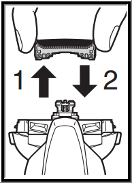 Image as described in steps 1 and 2.