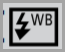 Flash White Balance icon